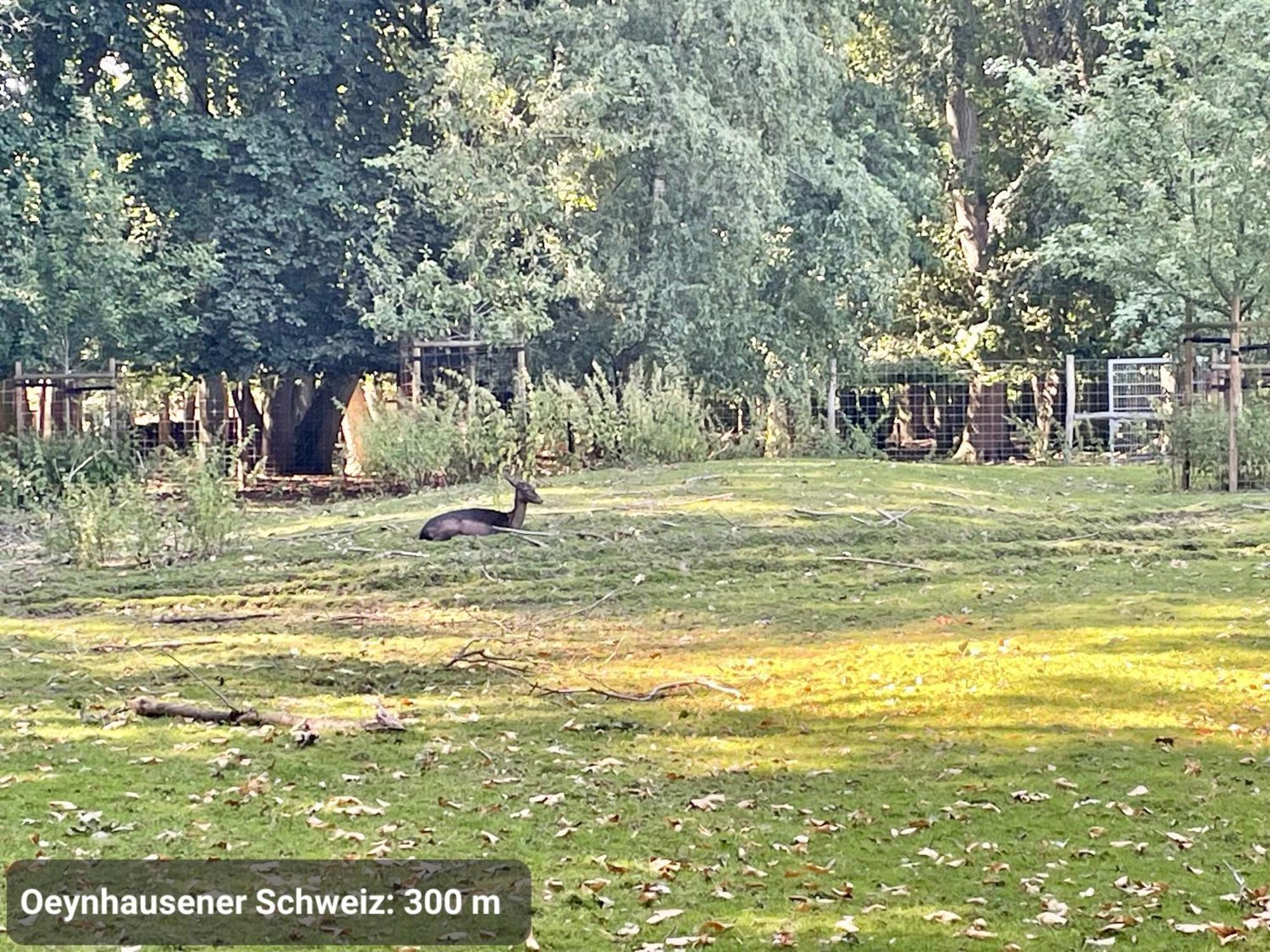 Top-Lage, 400 M Bis Gop, Bali-Therme Und Kurpark - Hdz - Parkplatz Bad Oeynhausen Bagian luar foto